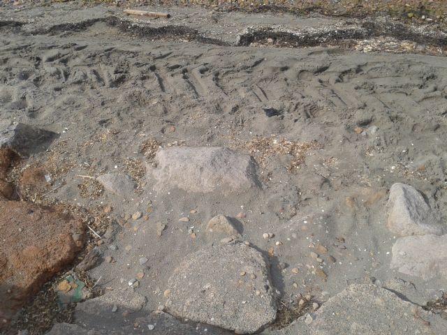 MC solicita la inmediata reposición de arena en las playas de Los Nietos - 2, Foto 2