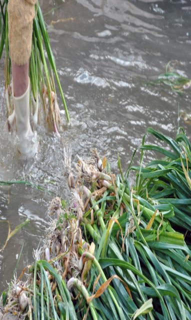 Manuel Corbalán gana el IV Concurso de Fotografía 'Montes y Huerta de Cehegín' - 2, Foto 2