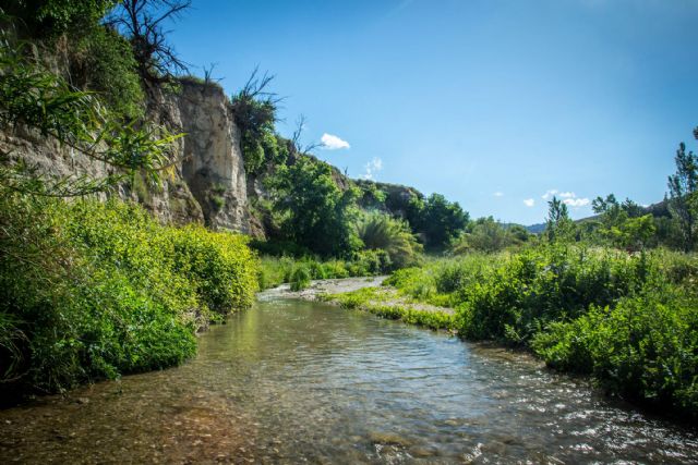 Manuel Corbalán gana el IV Concurso de Fotografía 'Montes y Huerta de Cehegín' - 4, Foto 4