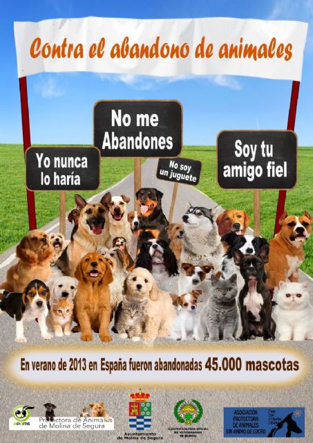 El Ayuntamiento de Molina de Segura presenta una campaña de sensibilización contra el abandono de animales - 1, Foto 1