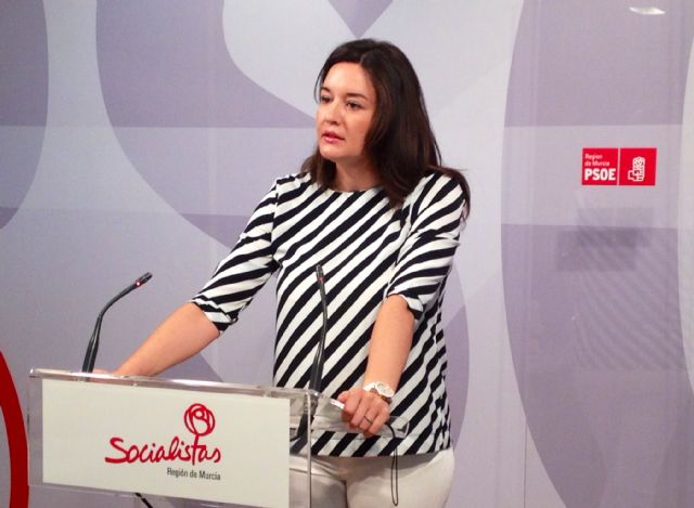 El PSOE afirma que la intención del Gobierno regional de hacer negocio como accionista en centros privados es un paso más en el cambio ideológico del modelo educativo - 1, Foto 1