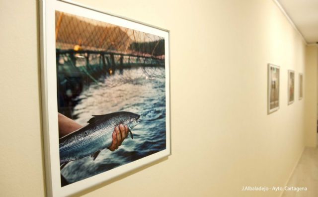 Noruega bajo la mirada de Alfredo Cáliz en La Mar de Arte - 5, Foto 5