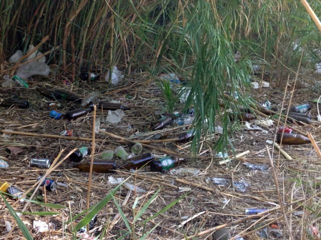 El PSOE pedirá al PP que inste a la Junta de Hacendados a limpiar y acondicionar la acequia de Raal Viejo de Llano de Brujas - 1, Foto 1