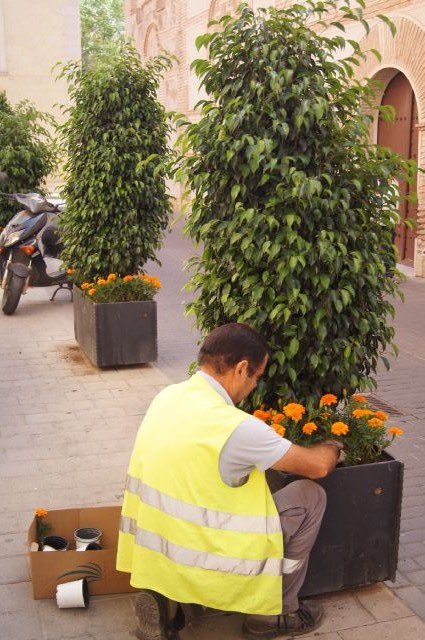 La concejalía de Servicios coloca plantas y sencillos adornos florales con motivo de las Fiestas de Santiago - 2, Foto 2
