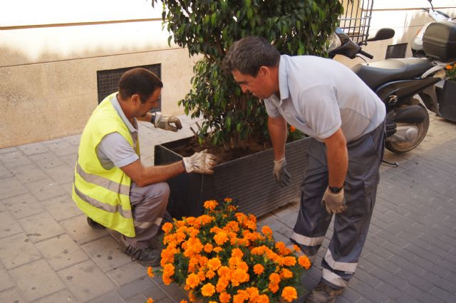 La concejalía de Servicios coloca plantas y sencillos adornos florales con motivo de las Fiestas de Santiago, Foto 1