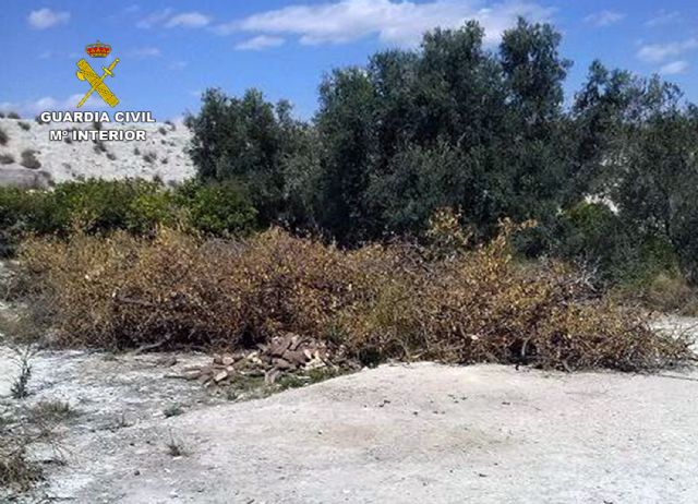 La Guardia Civil detiene a dos personas más por delitos contra explotaciones agrícolas de Alguazas y Lorquí - 1, Foto 1