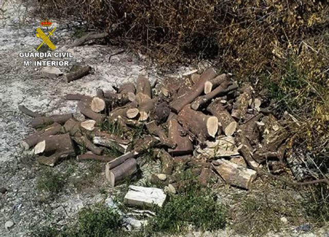 La Guardia Civil detiene a dos personas más por delitos contra explotaciones agrícolas de Alguazas y Lorquí - 2, Foto 2