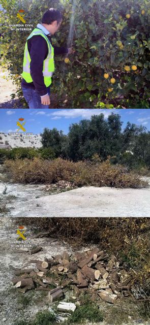 La Guardia Civil detiene a dos personas más por delitos contra explotaciones agrícolas de Alguazas y Lorquí - 4, Foto 4