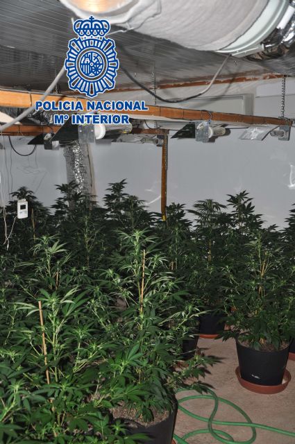 La Policía Nacional desmantela una plantación de marihuana en una vivienda de Sangonera la Seca - 2, Foto 2