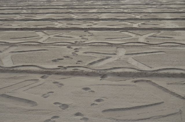 Estrellas en la playa para recibir la festividad de Santiago Apóstol - 4, Foto 4