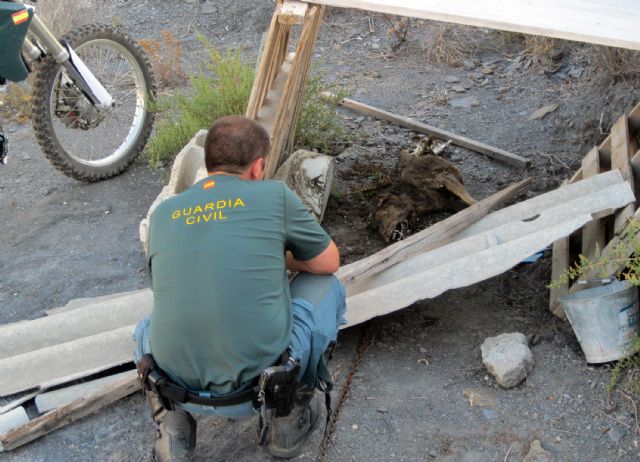 La Guardia Civil imputa a una persona el abandono de dos perros que acabaron muriendo - 4, Foto 4