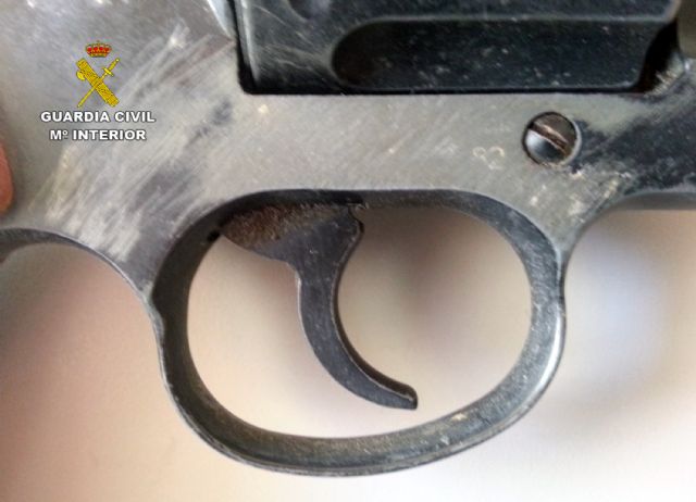 La Guardia Civil detiene a una persona por tenencia ilícita de armas - 2, Foto 2