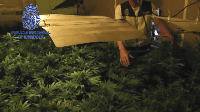 La Policía Nacional desmantela una plantación de marihuana en un piso de una pedanía murciana - 1, Foto 1