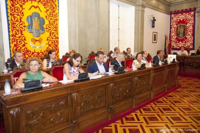 El pleno aprueba un moción socialista para crear más espacios verdes en La Vaguada - 1, Foto 1