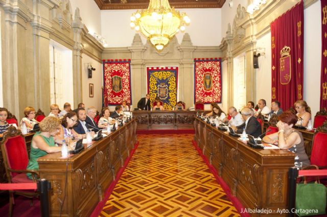 El pleno aprueba un moción socialista para crear más espacios verdes en La Vaguada - 4, Foto 4