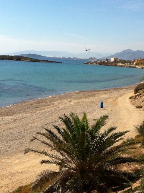 SPCT apuesta por la precaución, pero exige inversión para evitar ahogamientos - 1, Foto 1