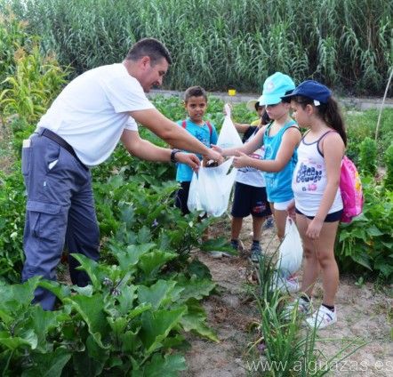 La Escuela de Verano Municipal de Alguazas registra este año una cifra récord de alumnos participantes en sus múltiples actividades de ocio - 4, Foto 4