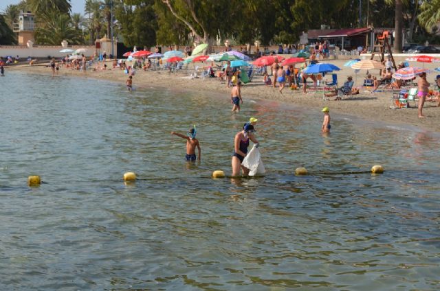 La concejalía de Medio Ambiente y el club de buceo Turkana celebraron hoy una jornada de limpieza de fondos marinos - 3, Foto 3