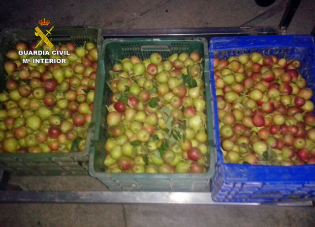 La Guardia Civil detiene a los tres integrantes de un grupo delictivo dedicado a la sustracción de fruta en Jumilla - 1, Foto 1