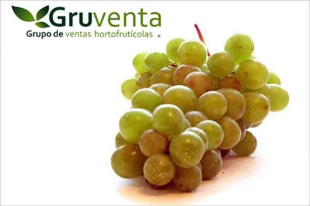 GRUVENTA alaba la calidad de la uva de mesa esta campaña y su alta dimensión internacional - 1, Foto 1