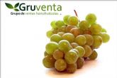 GRUVENTA alaba la calidad de la uva de mesa esta campaña y su alta dimensin internacional