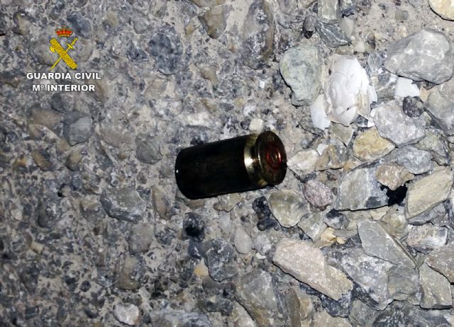 La Guardia Civil desmantela tres invernaderos de marihuana con ms de medio millar de plantas, Foto 2