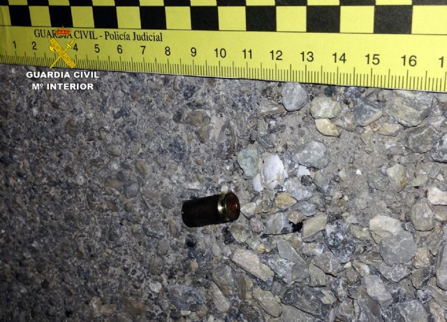 La Guardia Civil desmantela tres invernaderos de marihuana con ms de medio millar de plantas, Foto 5