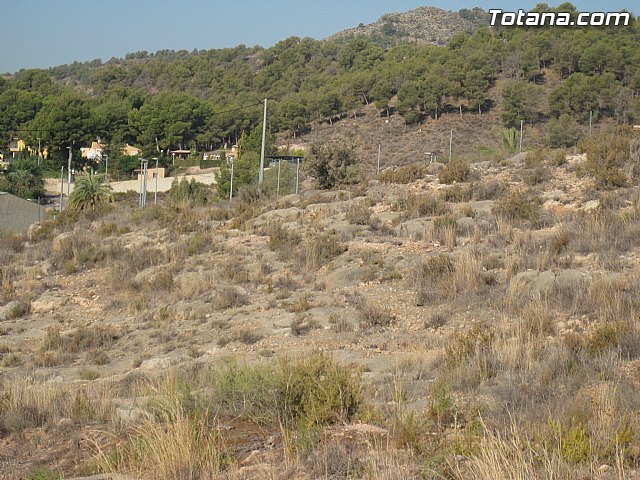 IU Verdes exige a la alcaldesa y al Equipo de Gobierno que solucionen los problemas de abastecimiento de agua en los Huertos - 6