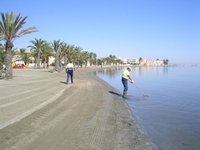 El Ayuntamiento mantiene servicios de limpieza especiales en Punta Brava y Los Urrutias para la retirada de medusas - 3, Foto 3