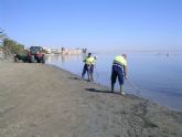 El Ayuntamiento mantiene servicios de limpieza especiales en Punta Brava y Los Urrutias para la retirada de medusas