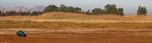 El Saladar de Lo Poyo se convierte en botellodromo los fines de semana - 1, Foto 1