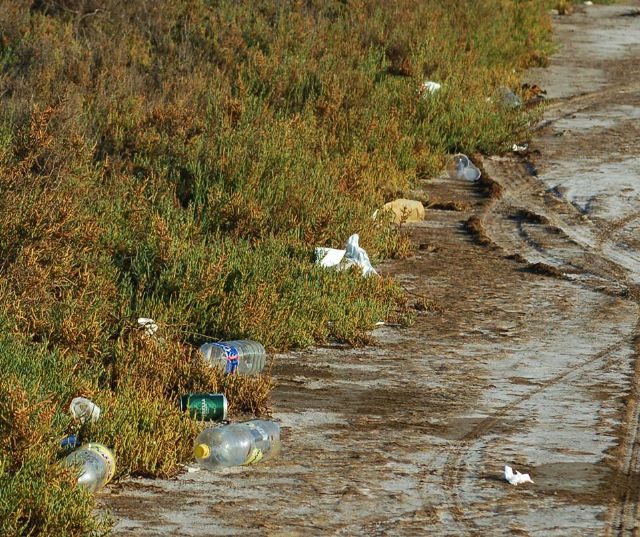 El Saladar de Lo Poyo se convierte en botellodromo los fines de semana - 2, Foto 2