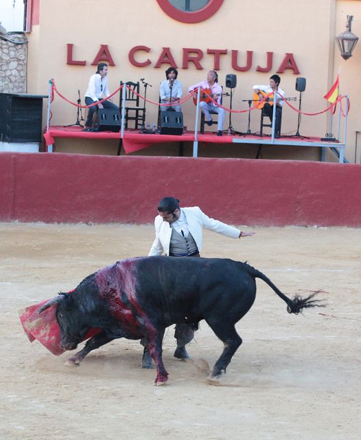 Triunfo absoluto del espectáculo Tauromaquia Flamenca - 1, Foto 1