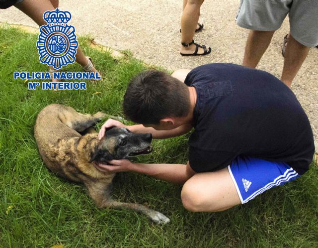 Policía Nacional y la Asociación Pro-Discapacitados AMIFP juntos en una exhibición canina - 2, Foto 2