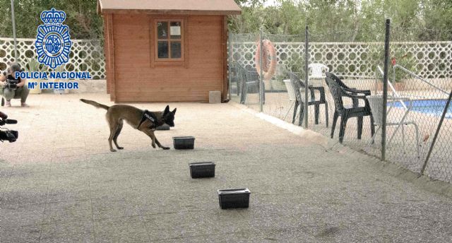 Policía Nacional y la Asociación Pro-Discapacitados AMIFP juntos en una exhibición canina - 5, Foto 5