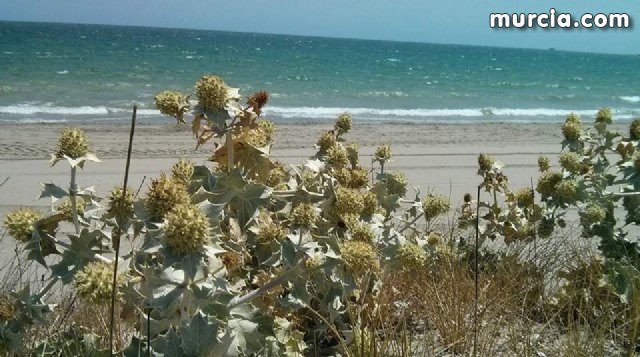 La Manga, en el Top 10 de las playas con más fotografías en Flickr - 1, Foto 1