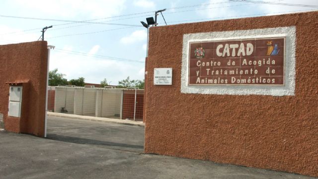El ayuntamiento de Cartagena incentiva el abandono de animales con su política de tasas - 1, Foto 1