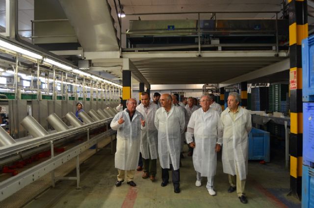 Alberto Garre muestra su apoyo al sector agrícola ante el veto ruso a las importaciones durante su visita a dos cooperativas en el municipio de San Javier - 2, Foto 2