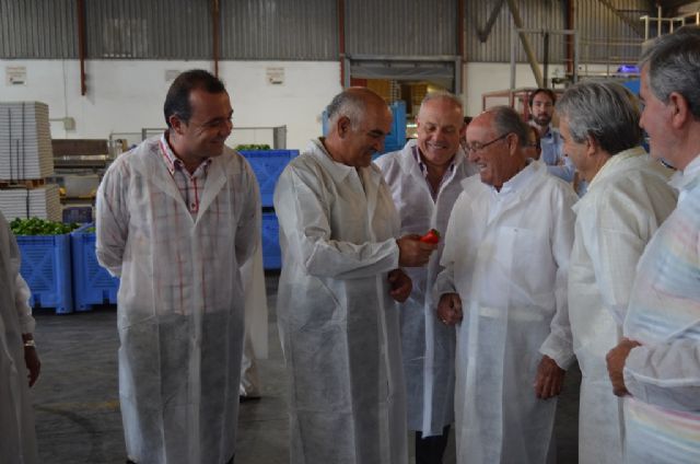 Alberto Garre muestra su apoyo al sector agrícola ante el veto ruso a las importaciones durante su visita a dos cooperativas en el municipio de San Javier - 3, Foto 3