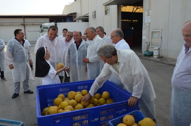 Alberto Garre muestra su apoyo al sector agrícola ante el veto ruso a las importaciones durante su visita a dos cooperativas en el municipio de San Javier - 4, Foto 4