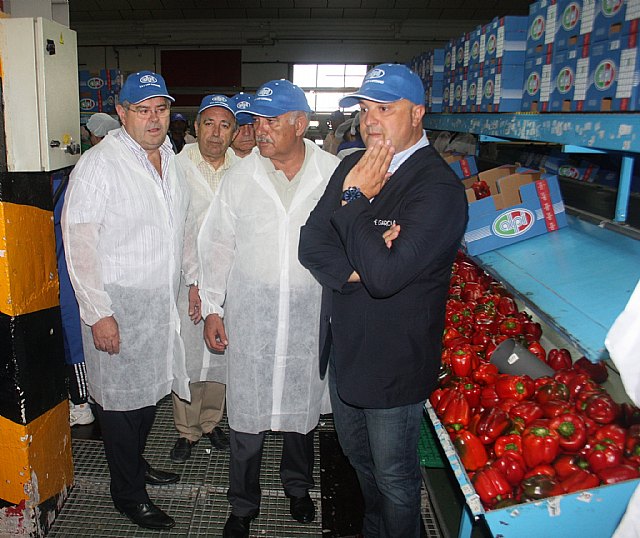 Garre destaca la labor solidaria del sector agroalimentario regional como generador de empleo e impulsor de la economía - 1, Foto 1