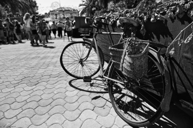 La Cabalgata Tradicional recupera la cultura popular de la Fiesta de la Vendimia - 2, Foto 2