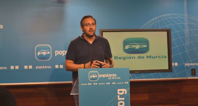 Martínez: Apoyamos unánime y rotundamente la elección directa de alcaldes - 2, Foto 2