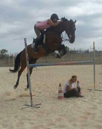 Éxito total de la escuela de verano de Hipica de Shelly. Inicio del curso 2014/2015 - 3, Foto 3