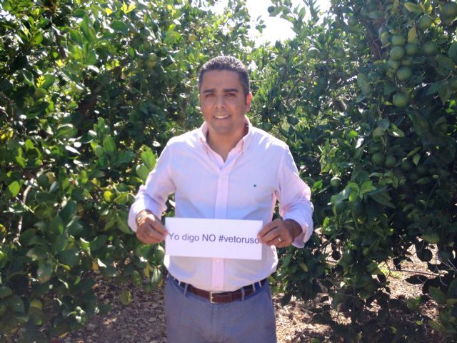 El PP pide al Ministerio que exija a Bruselas ayudas para todos los productos afectados - 1, Foto 1