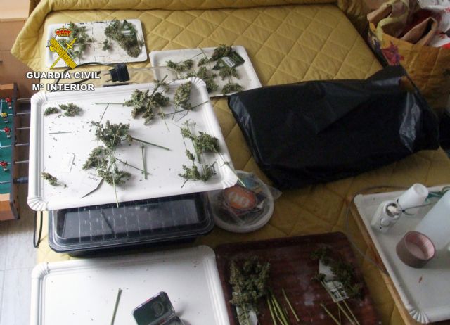 La Guardia Civil desmantela un invernadero intensivo de marihuana en un domicilio de Pliego - 1, Foto 1