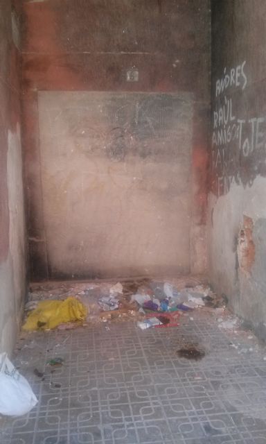 IU-Verdes reclama la limpieza de zonas olvidadas por la Concejalía de Servicios - 1, Foto 1