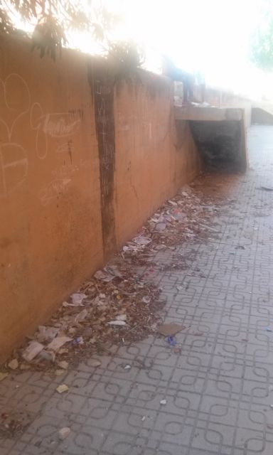 IU-Verdes reclama la limpieza de zonas olvidadas por la Concejalía de Servicios - 2, Foto 2