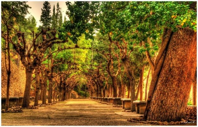 Nuestramurcia.es, una web pensada para las gentes y empresas de la Región de Murcia - 2, Foto 2