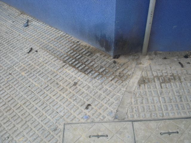 MC da un toque de atención al Ayuntamiento por el abandono que sufre La Vaguada - 3, Foto 3